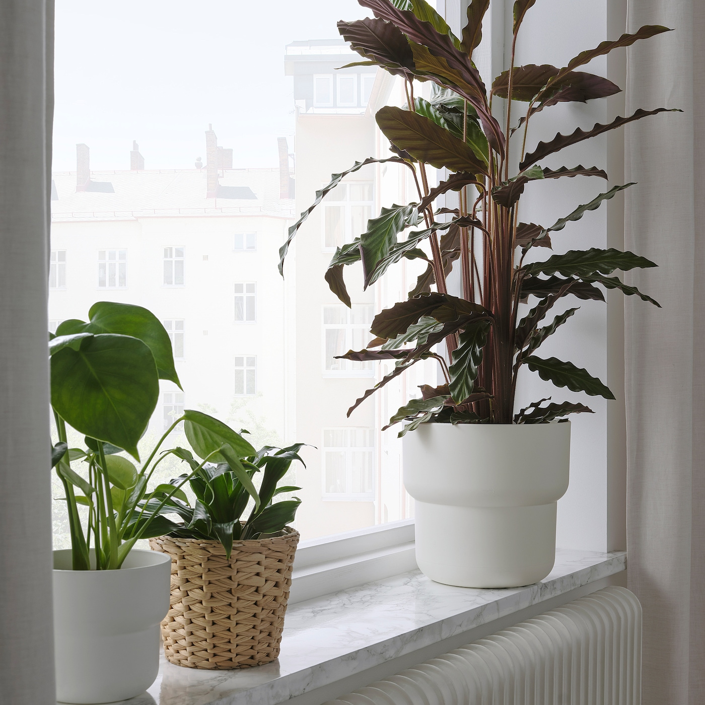 Фото ФОРЕНЛИГ Горшок для растений внутри/снаружи белый