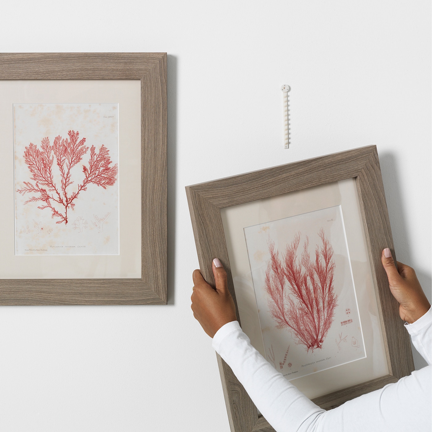 Фото ФИКСА Набор крючков для картин, 116 предметов